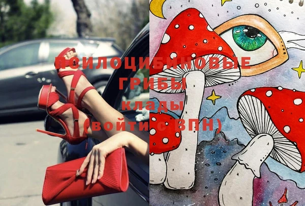 меф Алексин