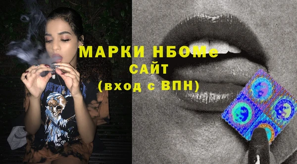 индика Аркадак