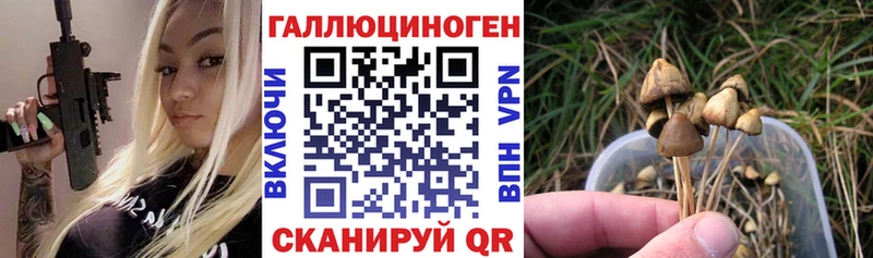 ссылка на мегу зеркало  Советский  Галлюциногенные грибы ЛСД 